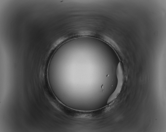 X0000085760155200703231203