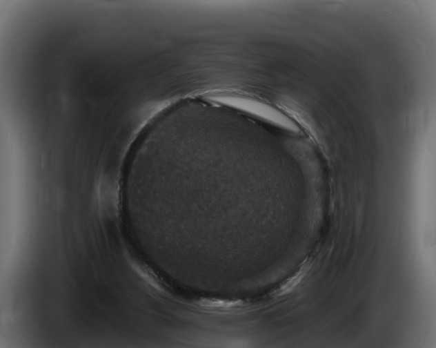 X0000085760156200703231203