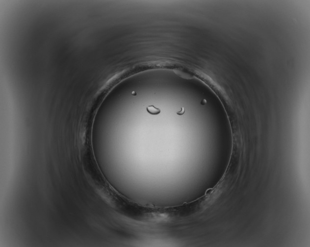 X0000085760159200703231203