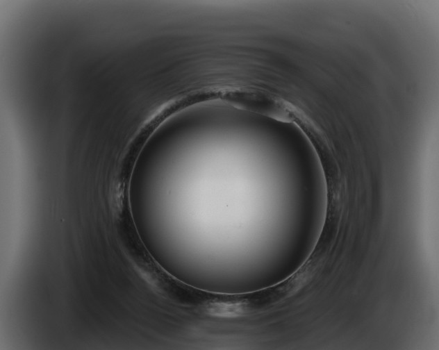X0000085760160200703231203