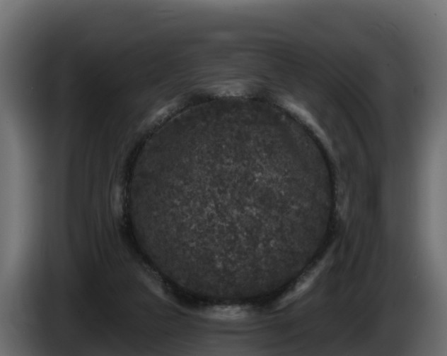 X0000085760161200703231203