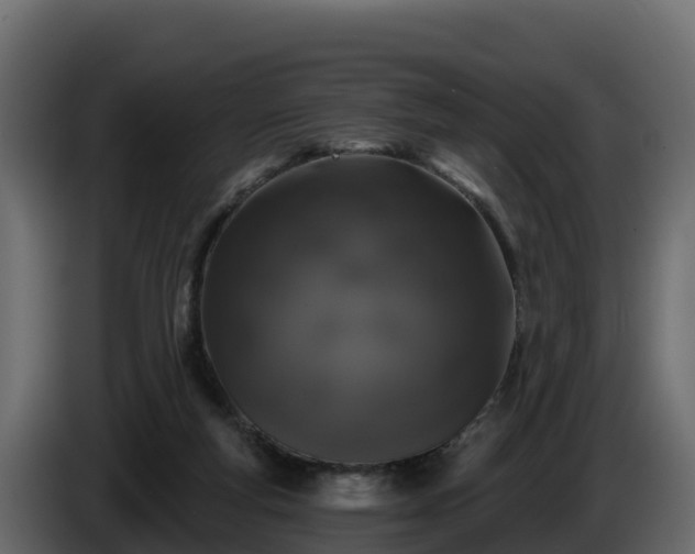 X0000085760163200703231203