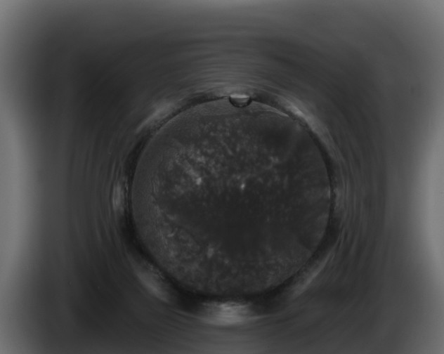 X0000085760165200703231203