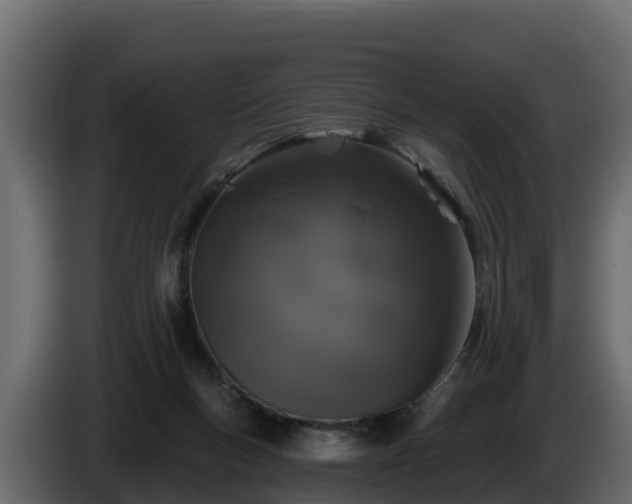 X0000085760167200703231203