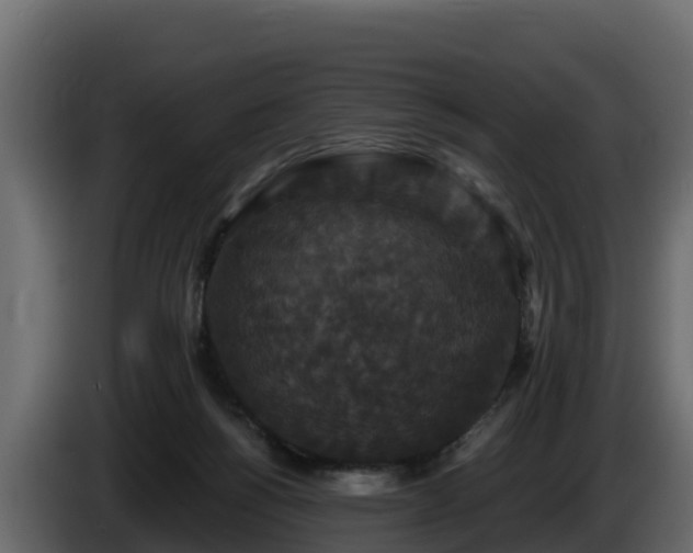 X0000085760168200703231203