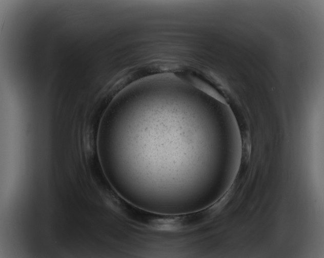 X0000085760170200703231203