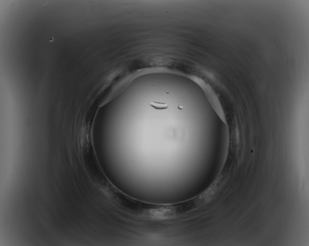 X0000085760172200703231203