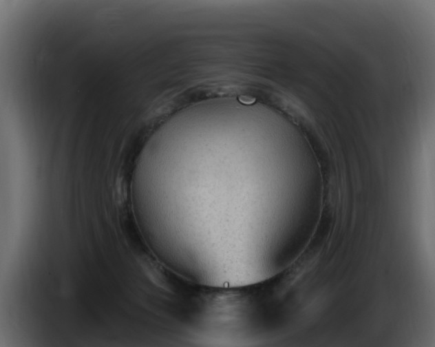 X0000085760173200703231203