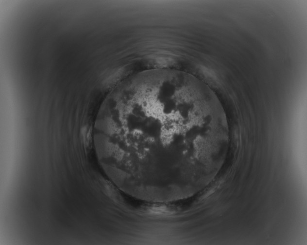 X0000085760177200703231203