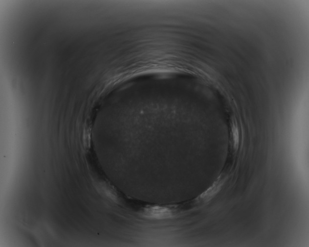 X0000085760180200703231203