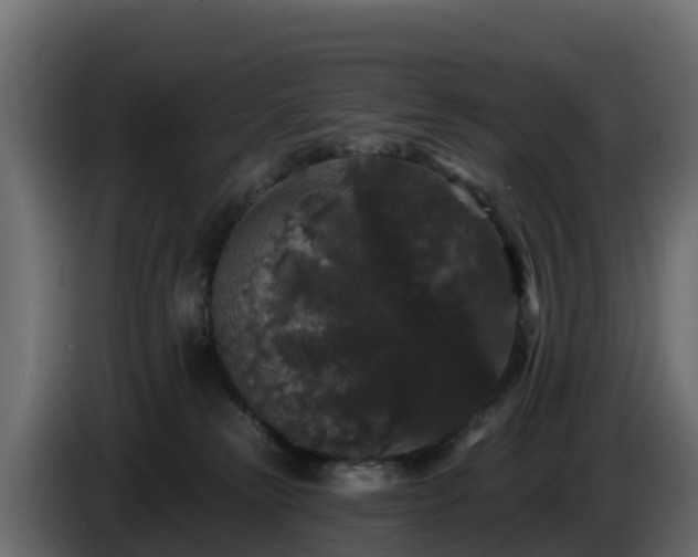 X0000085760181200703231203