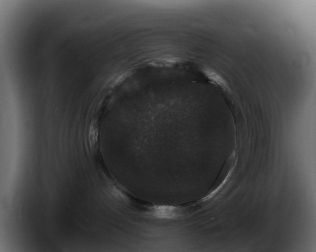 X0000085760192200703231203