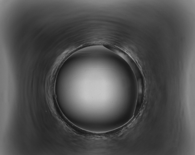 X0000085760193200703231203