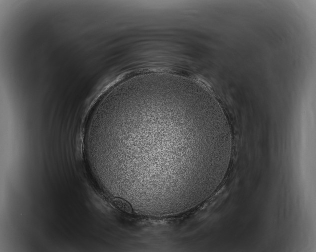 X0000085760194200703231203