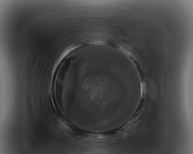 X0000085760195200703231203