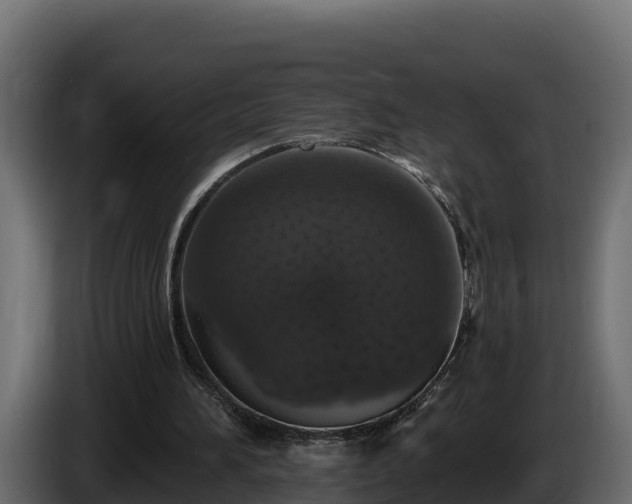 X0000085760196200703231203