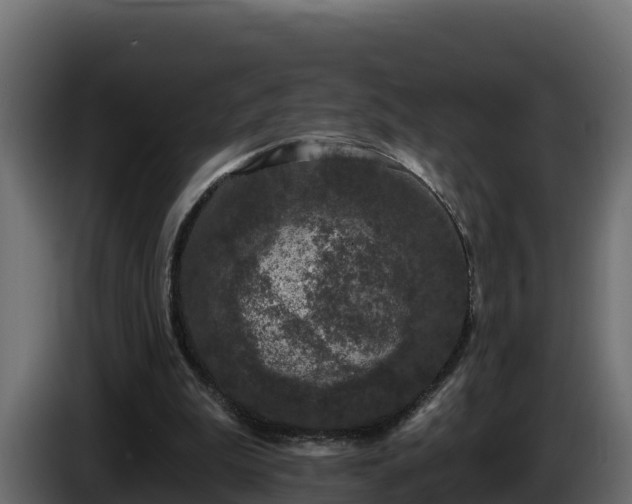 X0000085760199200703231203