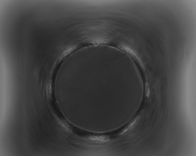 X0000085760202200703231203