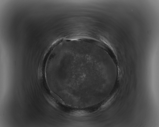 X0000085760203200703231203