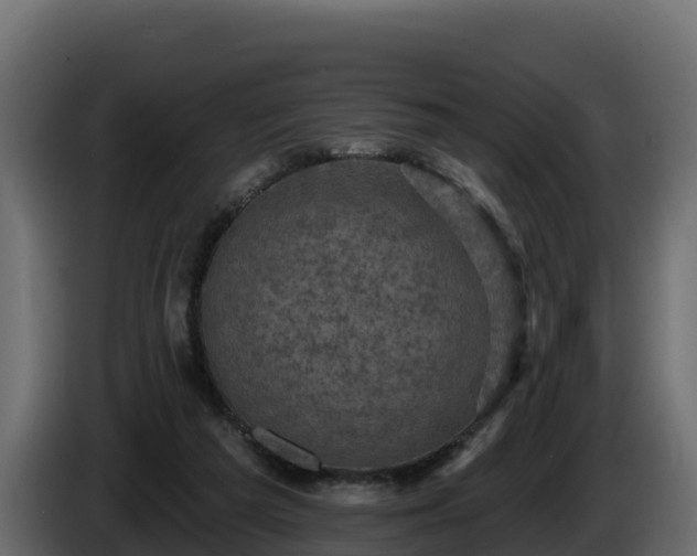 X0000085760209200703231202