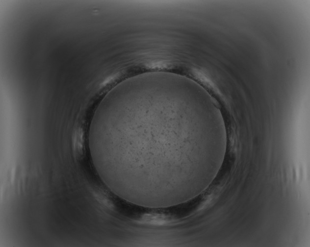X0000085760211200703231202