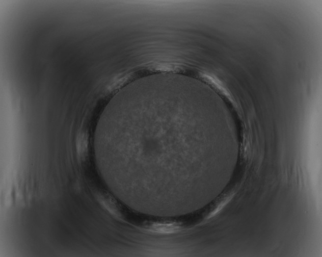 X0000085760213200703231202