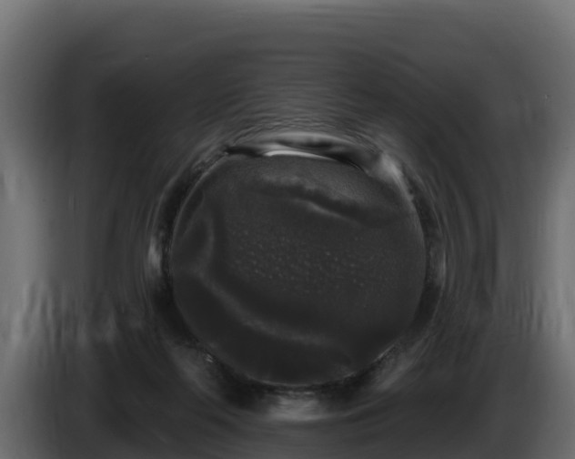 X0000085760214200703231202