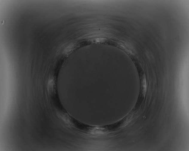 X0000085760222200703231202