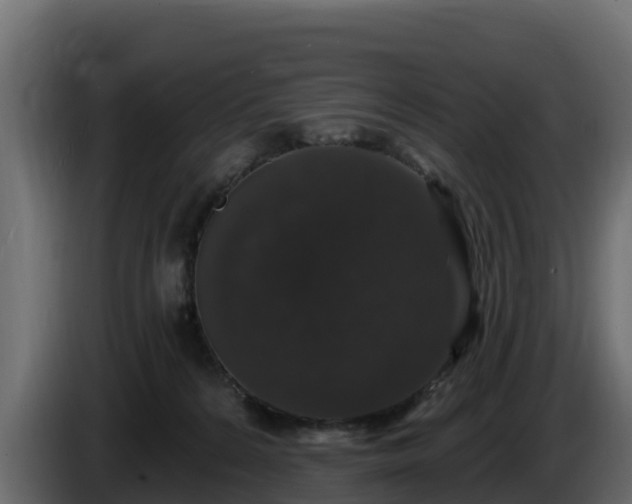X0000085760224200703231202