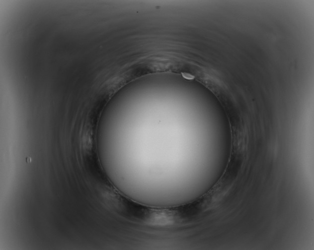 X0000085760226200703231202