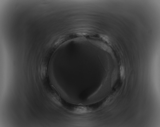 X0000085760227200703231202