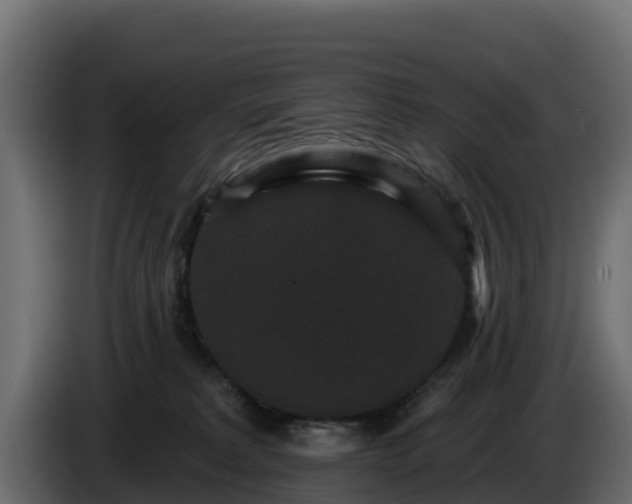 X0000085760229200703231202