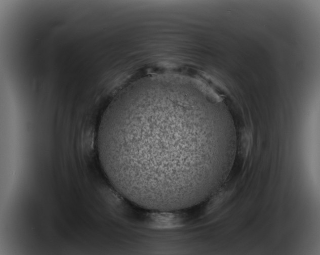 X0000085760230200703231202