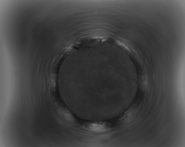X0000085760232200703231202