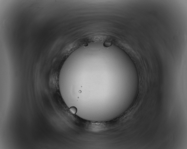 X0000085760240200703231202