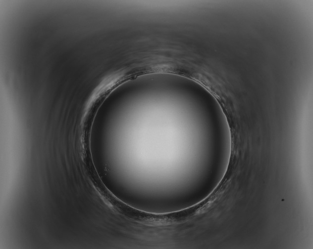 X0000085760245200703231201