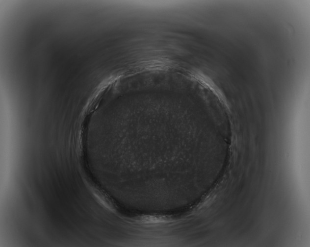 X0000085760250200703231201