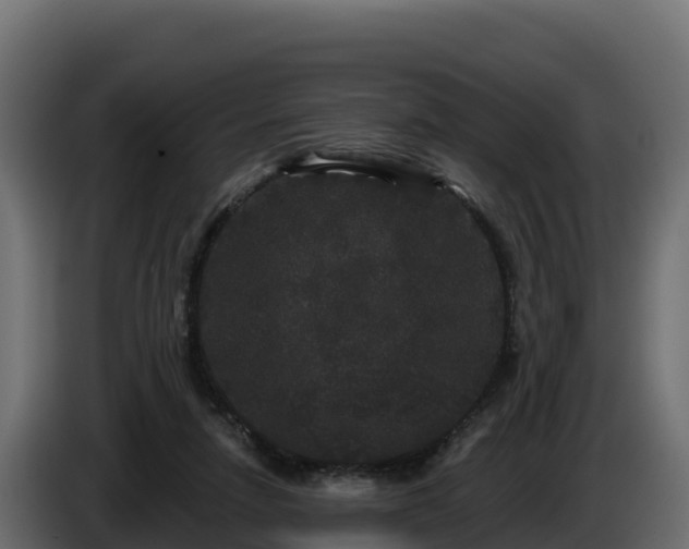 X0000085760258200703231201