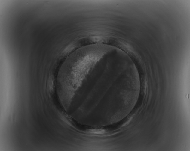 X0000085760266200703231201