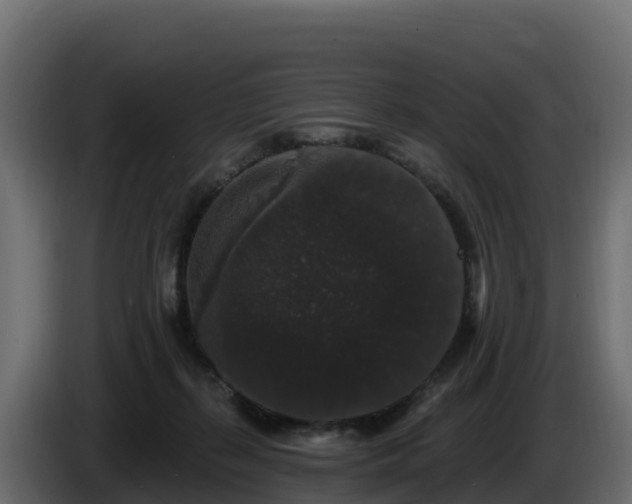 X0000085760267200703231201