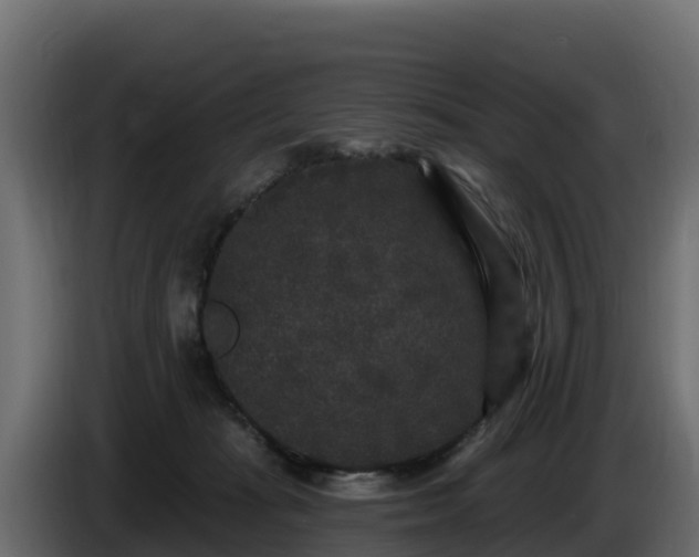 X0000085760269200703231201