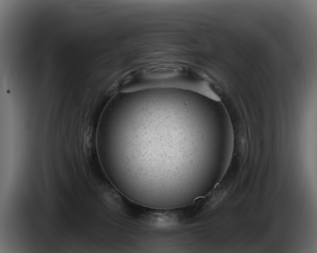 X0000085760275200703231202