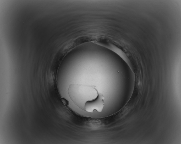 X0000085760279200703231202