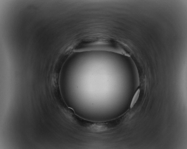 X0000085760280200703231202