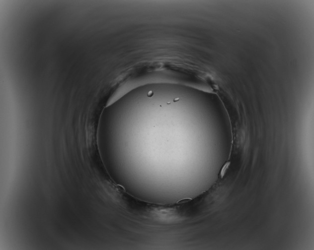X0000085760283200703231202