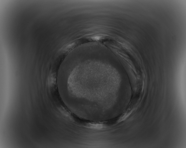 X0000085760284200703231202