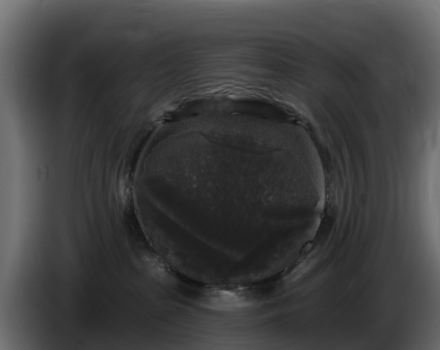 X0000085760285200703231202
