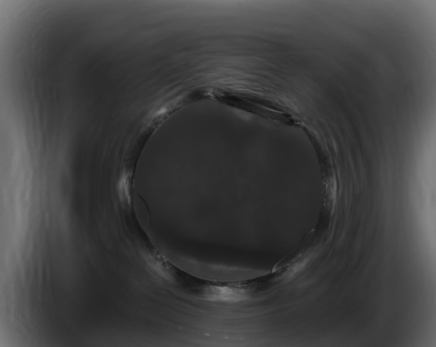 X0000085760286200703231202