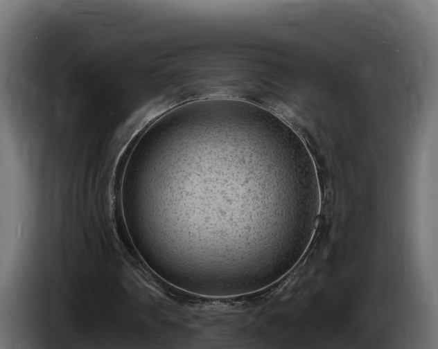 X0000085760290200703231201