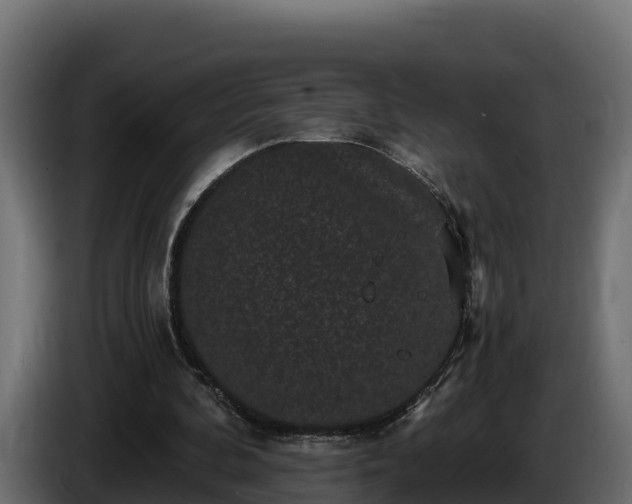 X0000085760292200703231201